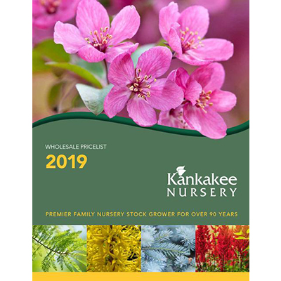 2019 Catalog Cover