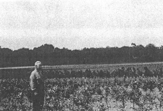 Clyde Worth, left, founder of Kankakee Nursery, standing in one of our first fields.